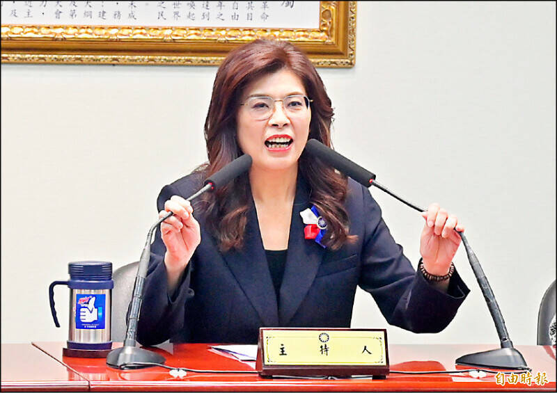 國民黨主席鄭麗文力推2026、2028勝選，尋求與賴清德路線的區隔