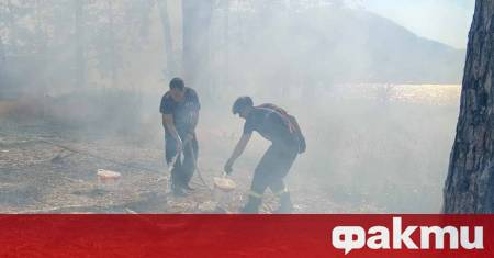 Пожар обхвана част от остров в язовир „Батак“