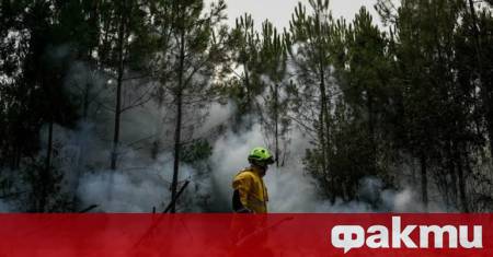 Френските власти обявиха овладяване на горските пожари