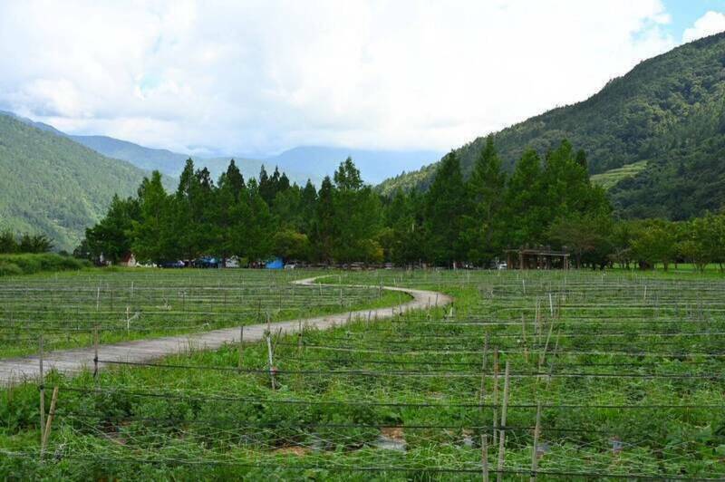 武陵農場與福壽山農場因薔琵颱風實施預警性休園