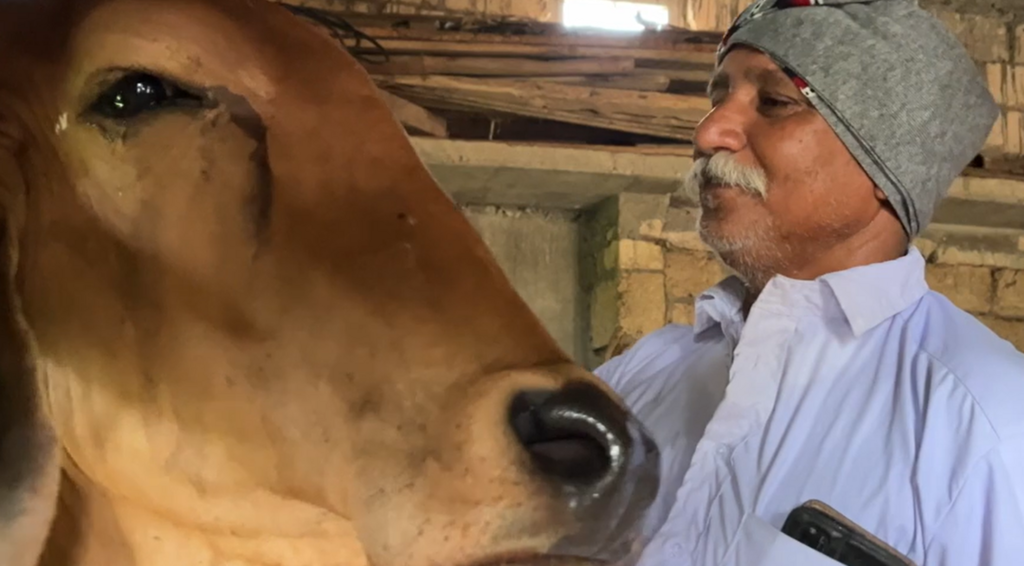 गुजरात में दलित युवकों पर हमले की घटना और 'घर वापसी' कार्यक्रम