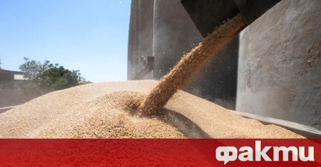 Кораби отказват да превозват българско зърно, опасност за износа