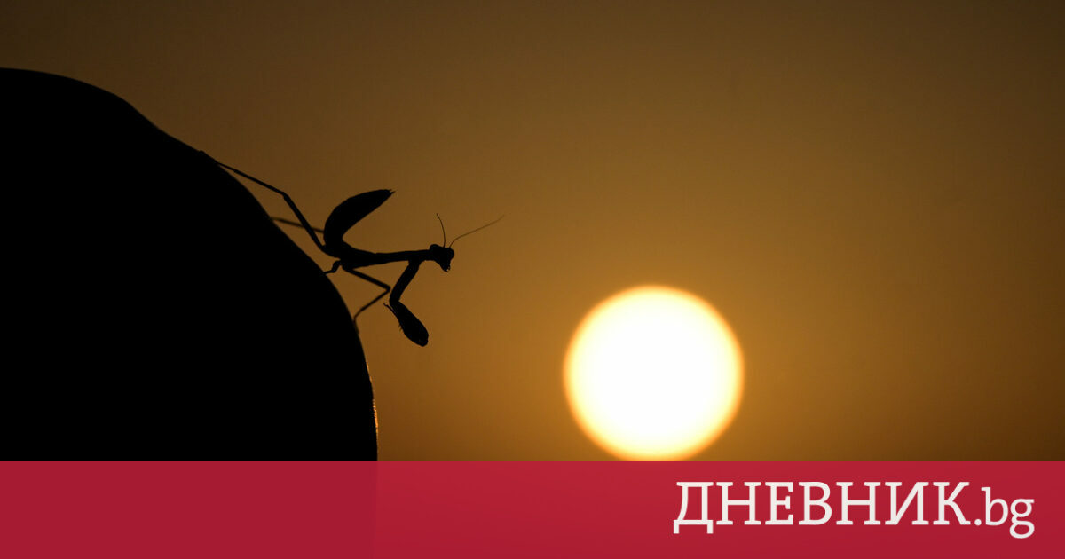 Днес е слънчево и горещо, температурите достигат 35 градуса
