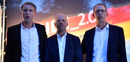 AfD-Abgeordnete beschäftigen mutmaßlichen Neonazi und Ex-Parteifunktionär
