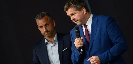 AfD baut Vorsprung in Sachsen-Anhalt aus, während SPD und Grüne zulegen