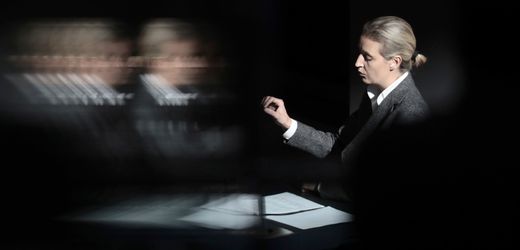 AfD-Datenleck belastet Weidel, Schüsse in Frankreich als Terroranschlag eingestuft
