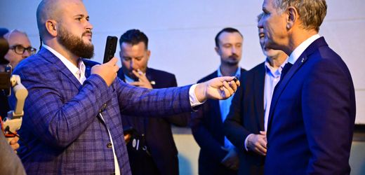 AfD-Parteispitze distanziert sich von umstrittenem Streamer „Aktivist Mann“