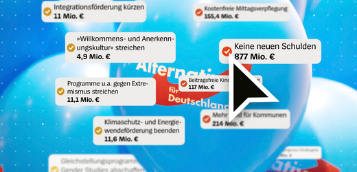 AfD-Pläne in Sachsen-Anhalt: Finanzielle Auswirkungen und Wahlprognosen