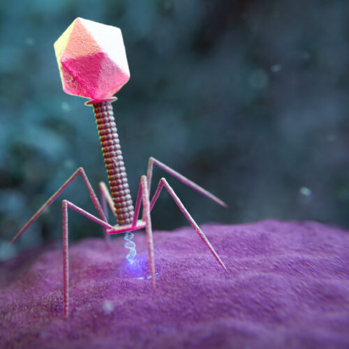 AI Used to Design New Viruses
