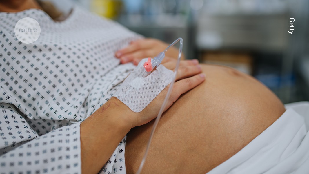 Albumin Addition Shields Fetuses From Antibody Drugs