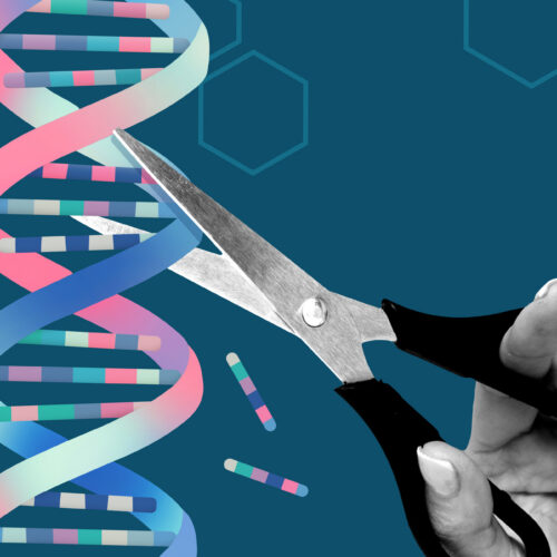 AlphaFold AI Used to Improve Gene Editing Protein Safety