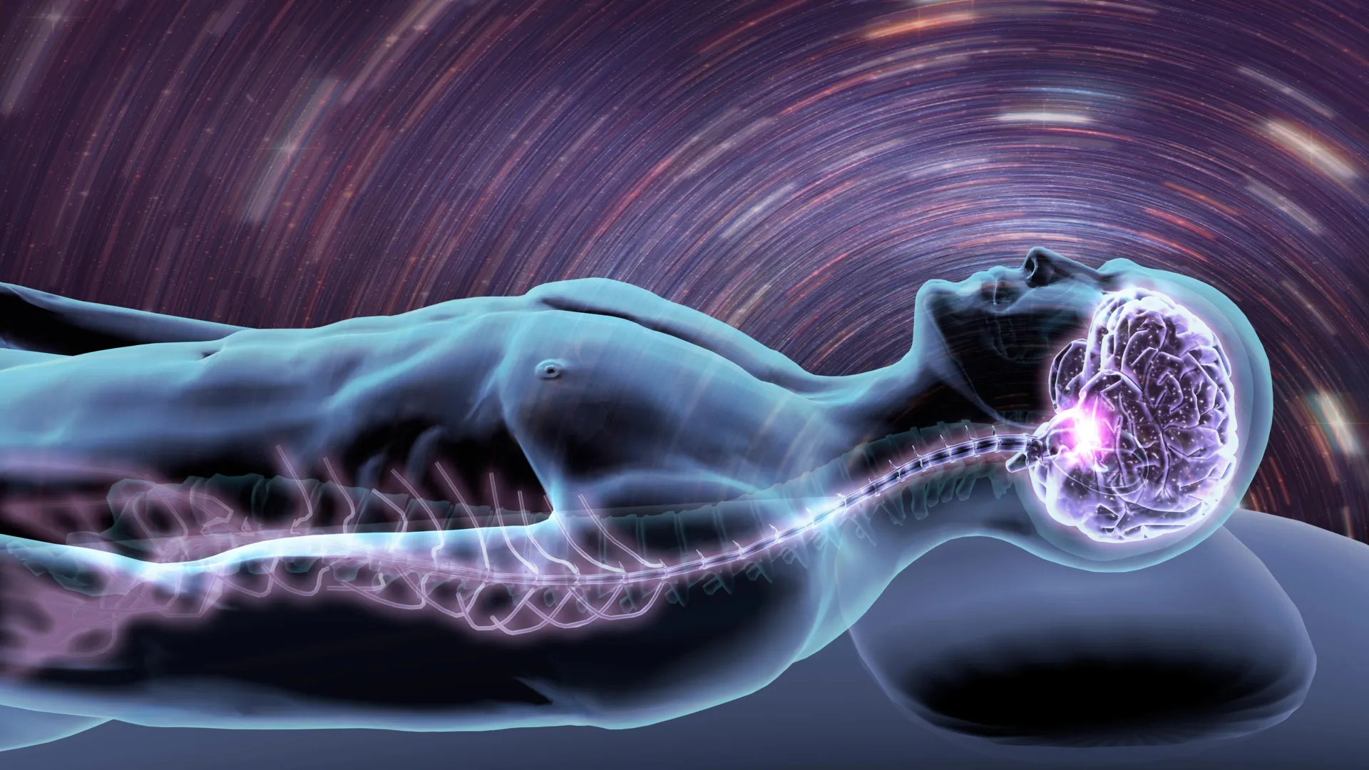 Alzheimer’s Sleep Loss Linked to Brain Immune Cells