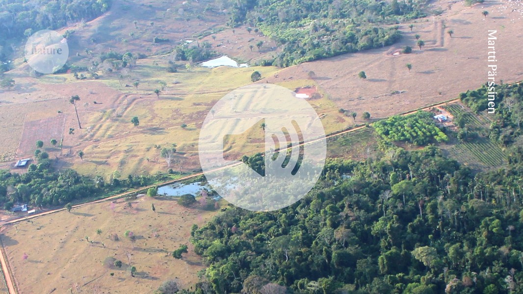 Amazon Earthworks Suggest Large Ancient Civilization