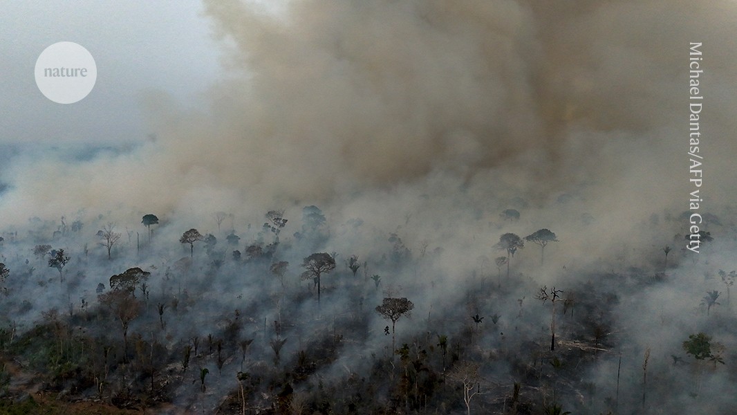 Amazonas-Regenwald steht vor einem potenziellen Wendepunkt