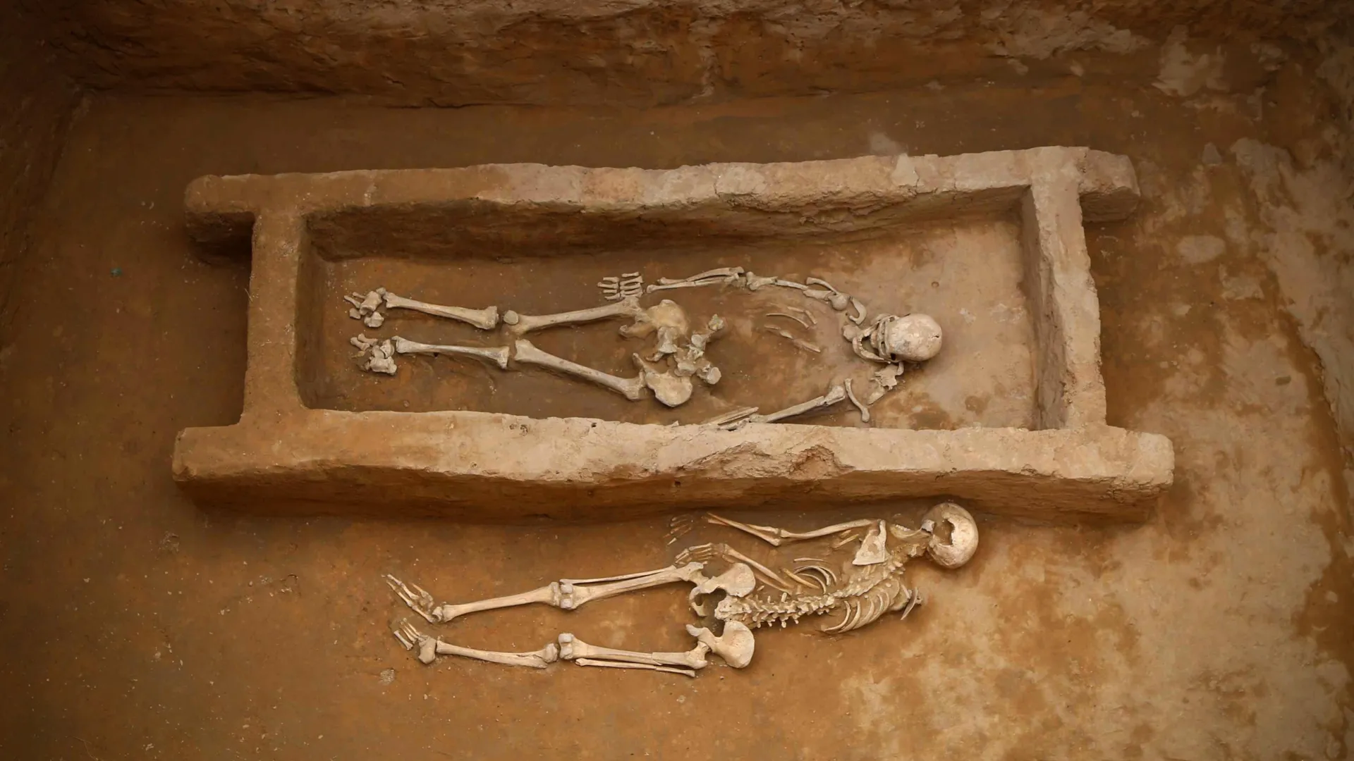 Ancient DNA Reveals Origins of Shimao City's People