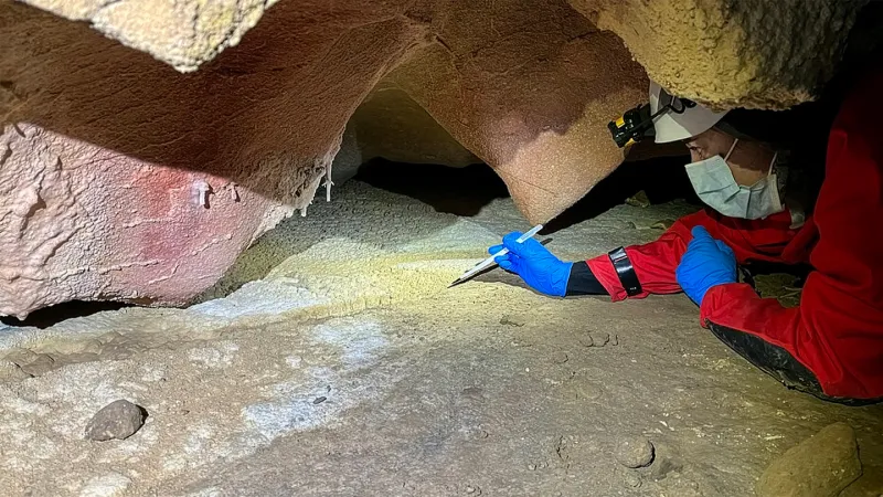 Ancient Human DNA Recovered From Cave Walls
