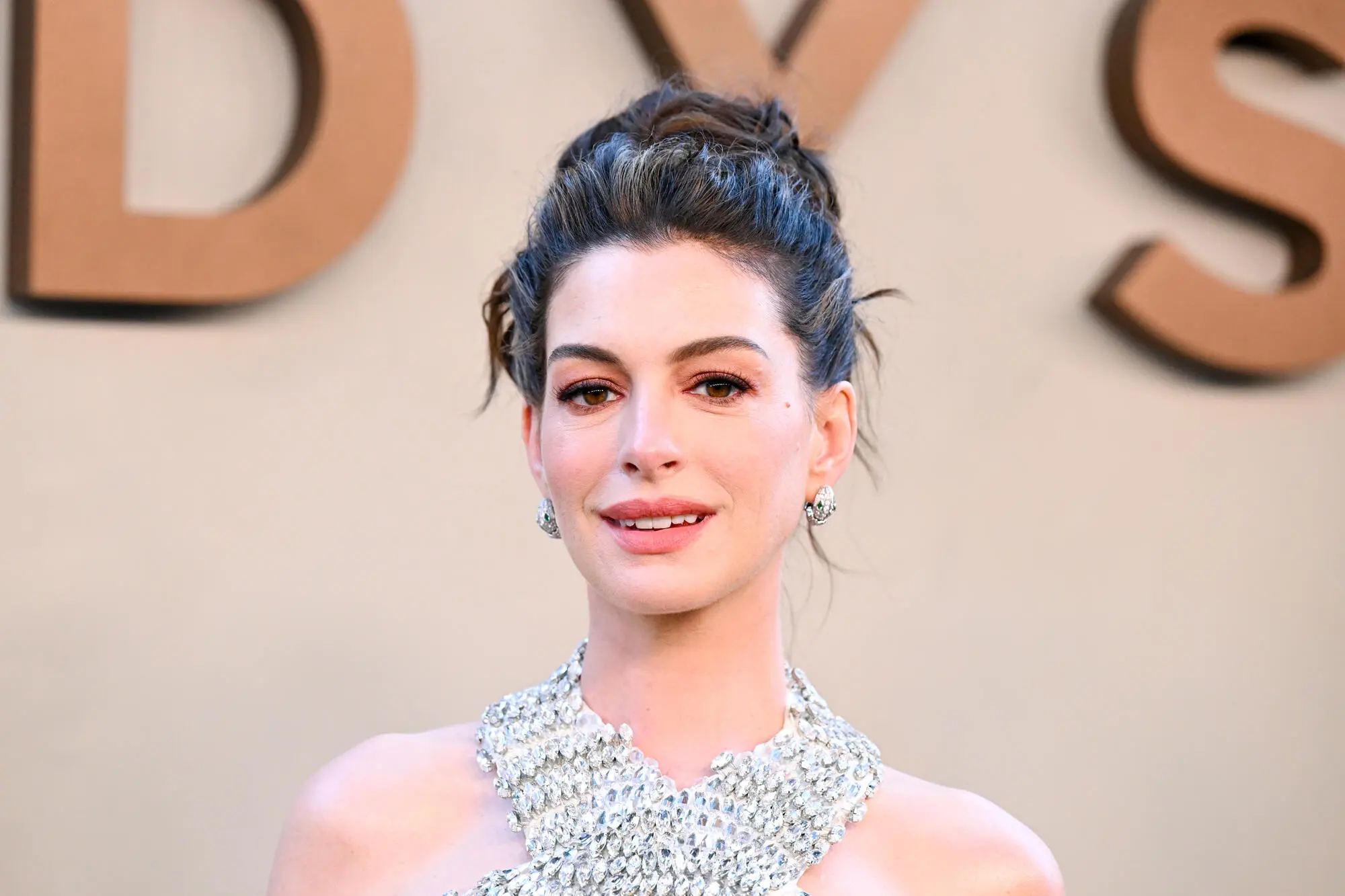 Anne Hathaway Suggests R Rating for Films Featuring Dog Deaths