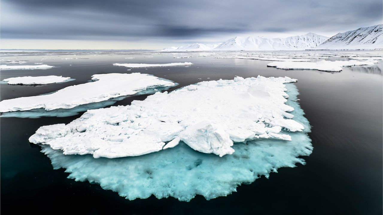 Arctic Ocean Crosses Biological Tipping Point, Disrupting Marine Food Chain