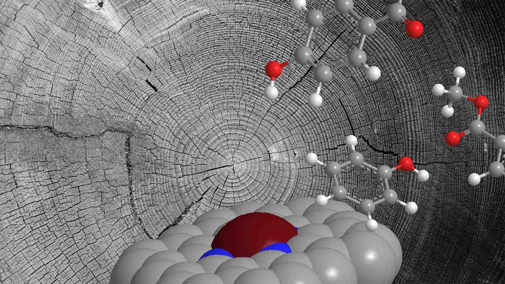 Atomic Catalyst Converts Plant Waste into Useful Chemicals