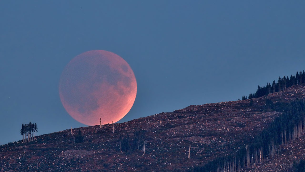 NASA hebt Skywatching-Ereignisse im August 2026 hervor