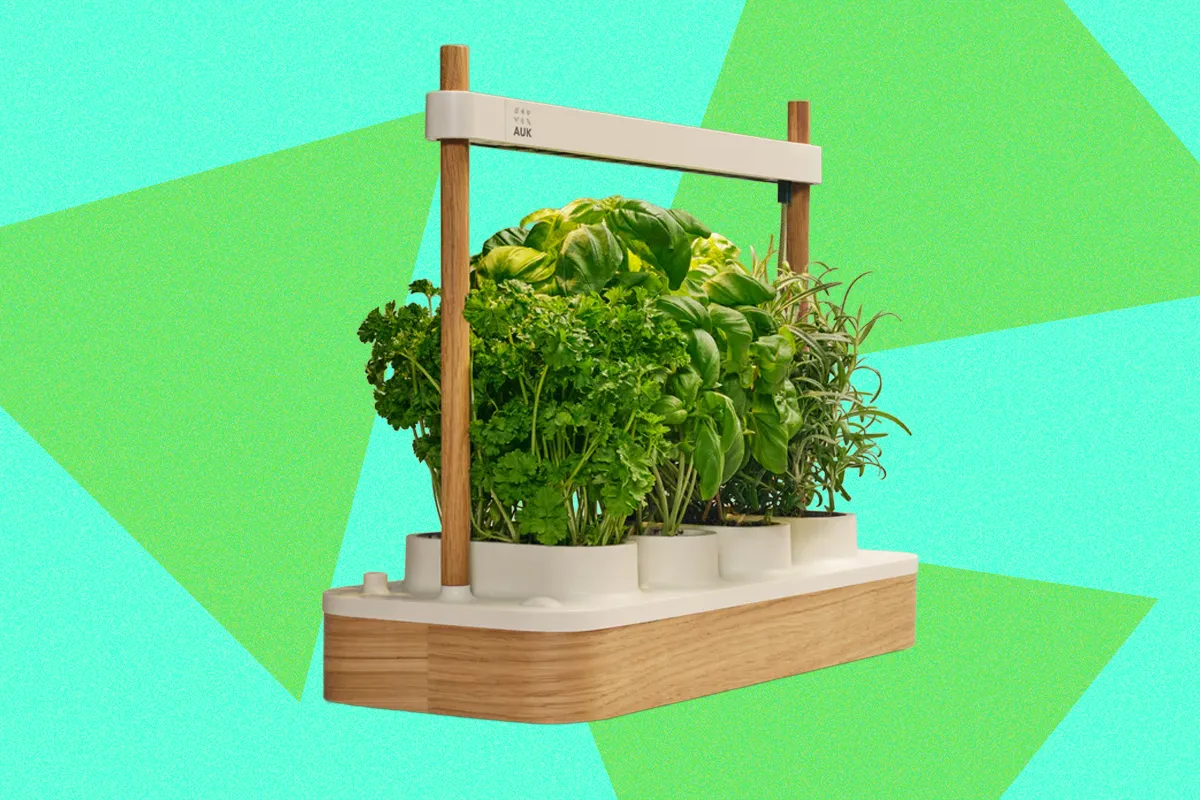 Auk Releases Mini 2 Indoor Smart Garden