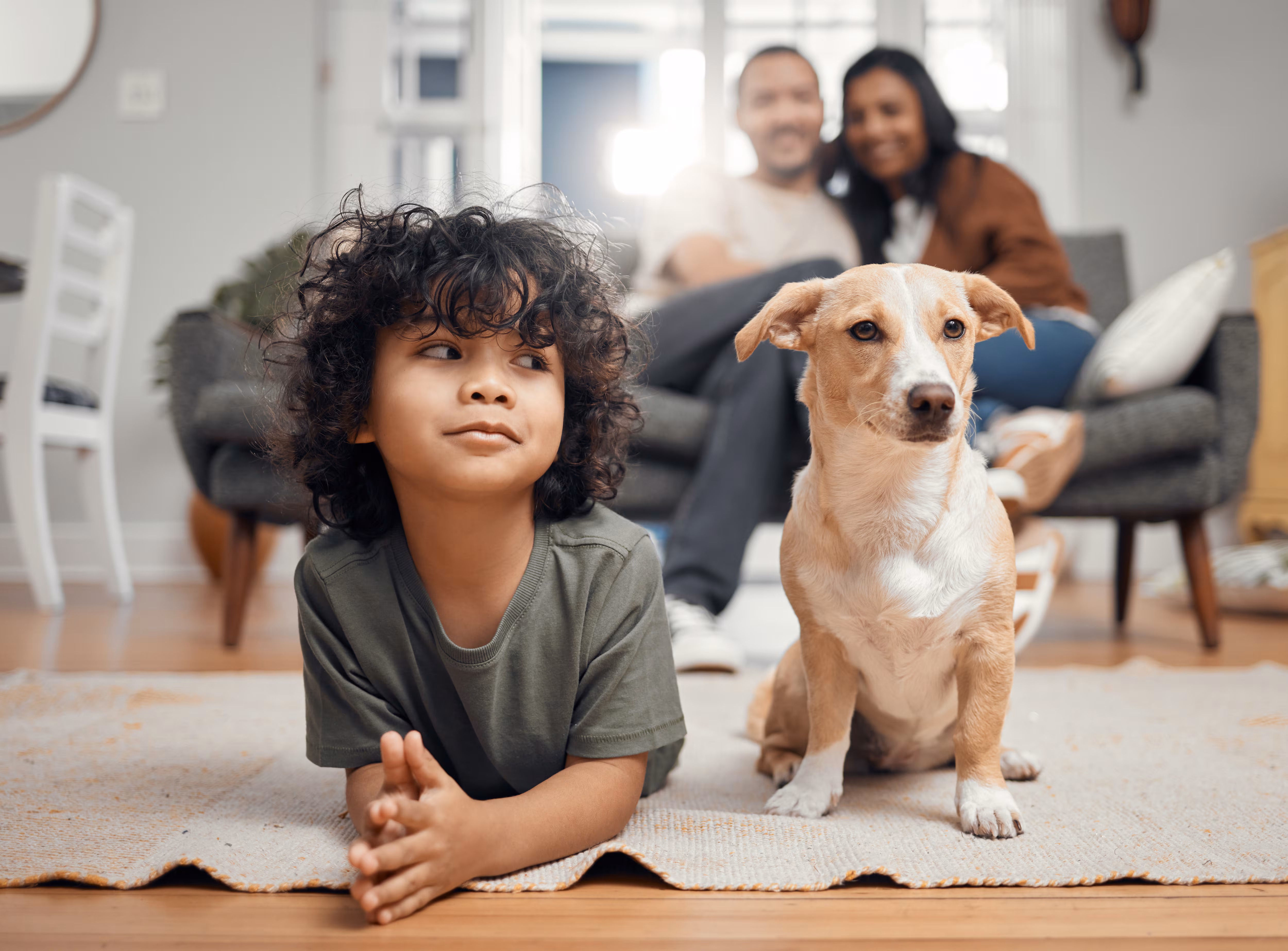 Aumento de mascotas y disminución de natalidad en España: ¿existe una relación?
