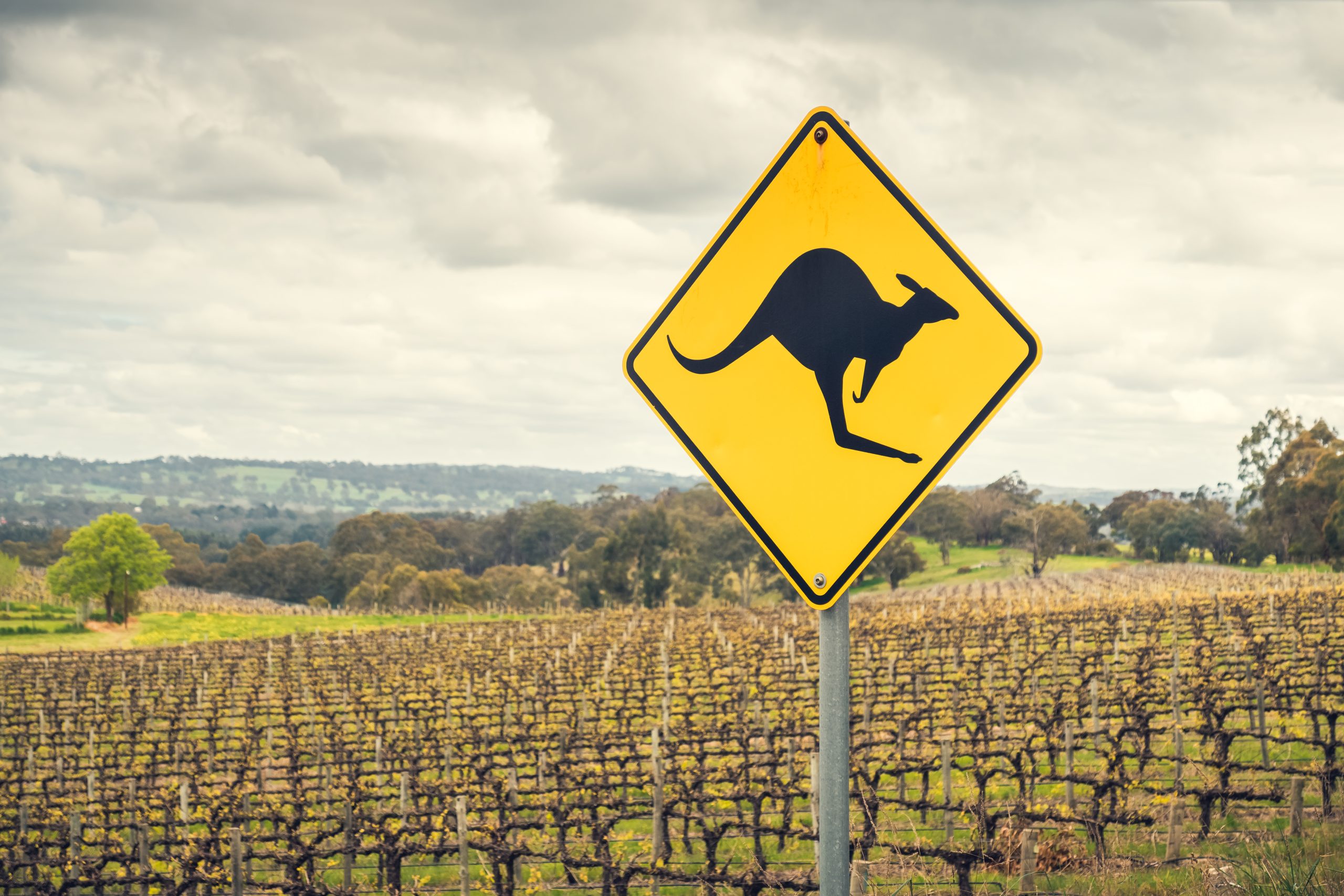 Australian Wine Exports Hit 22-Year Low