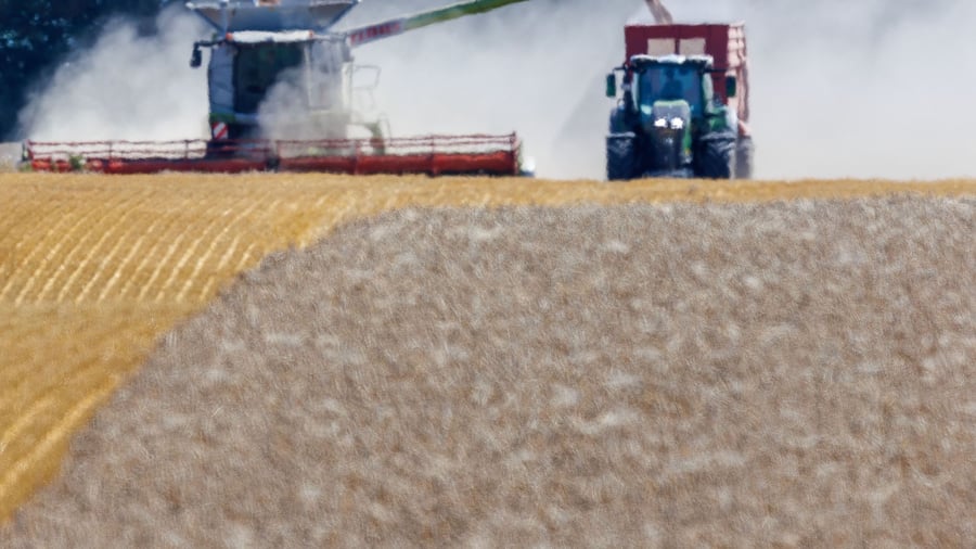 Bauernverband warnt vor massiven Ernteeinbußen durch Dürre