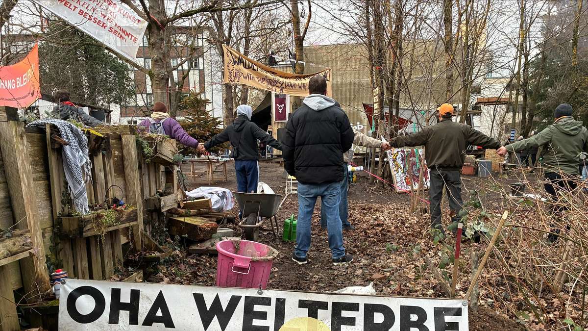 Baustopp für Besucherzentrum und Vorwürfe gegen Grüne in Mecklenburg-Vorpommern