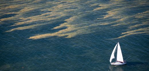 Behörden warnen vor Blaualgen in der Ostsee und norddeutschen Gewässern