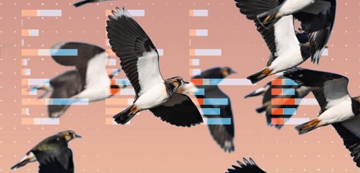 Biodiversitätsverlust und Schutzmaßnahmen: Globale Bilanz und neue Ziele in Jerewan