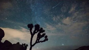 Bootids Meteor Shower Forecast Remains Uncertain