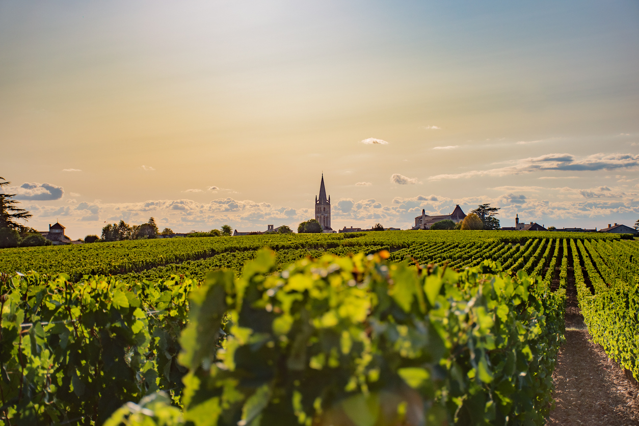Bordeaux Vineyard Values Fall as Wine Sales Plummet