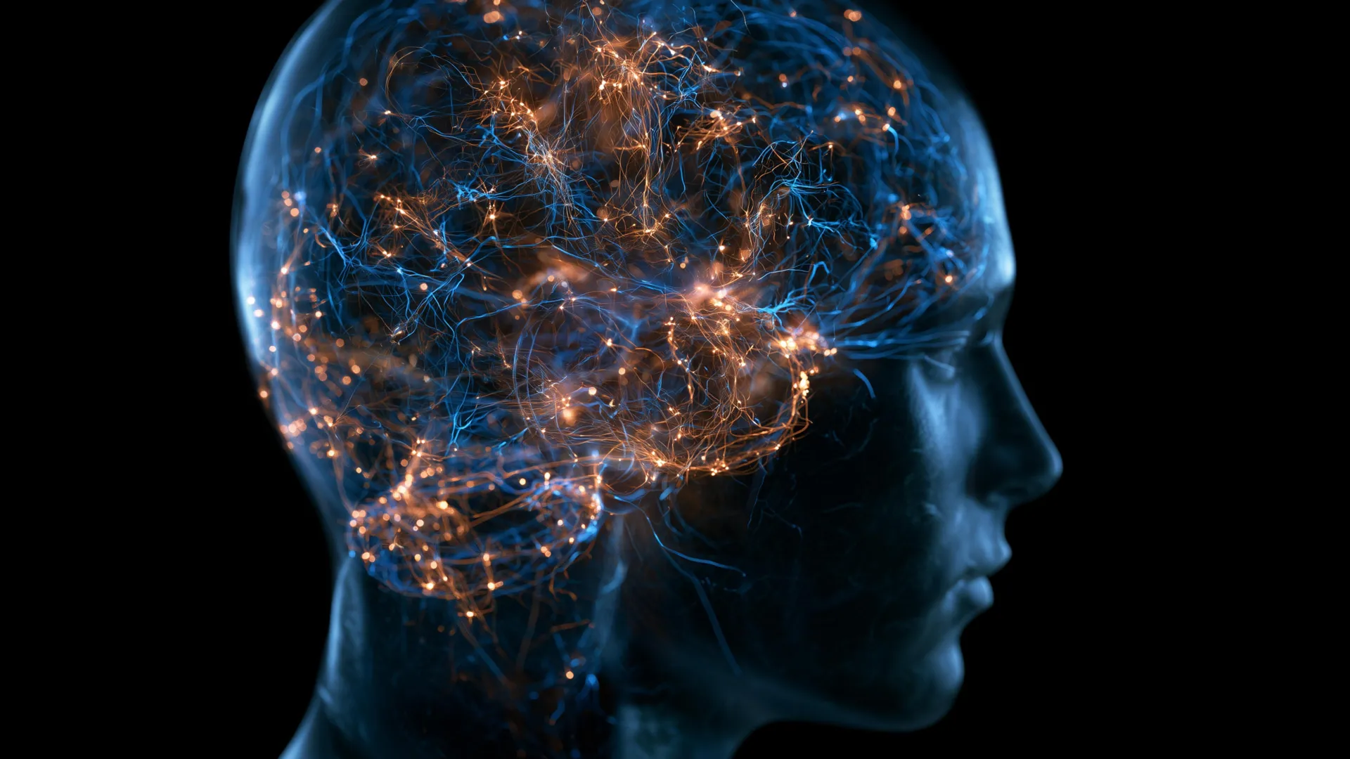 Brain Changes Detected Between Ages 50 and 75