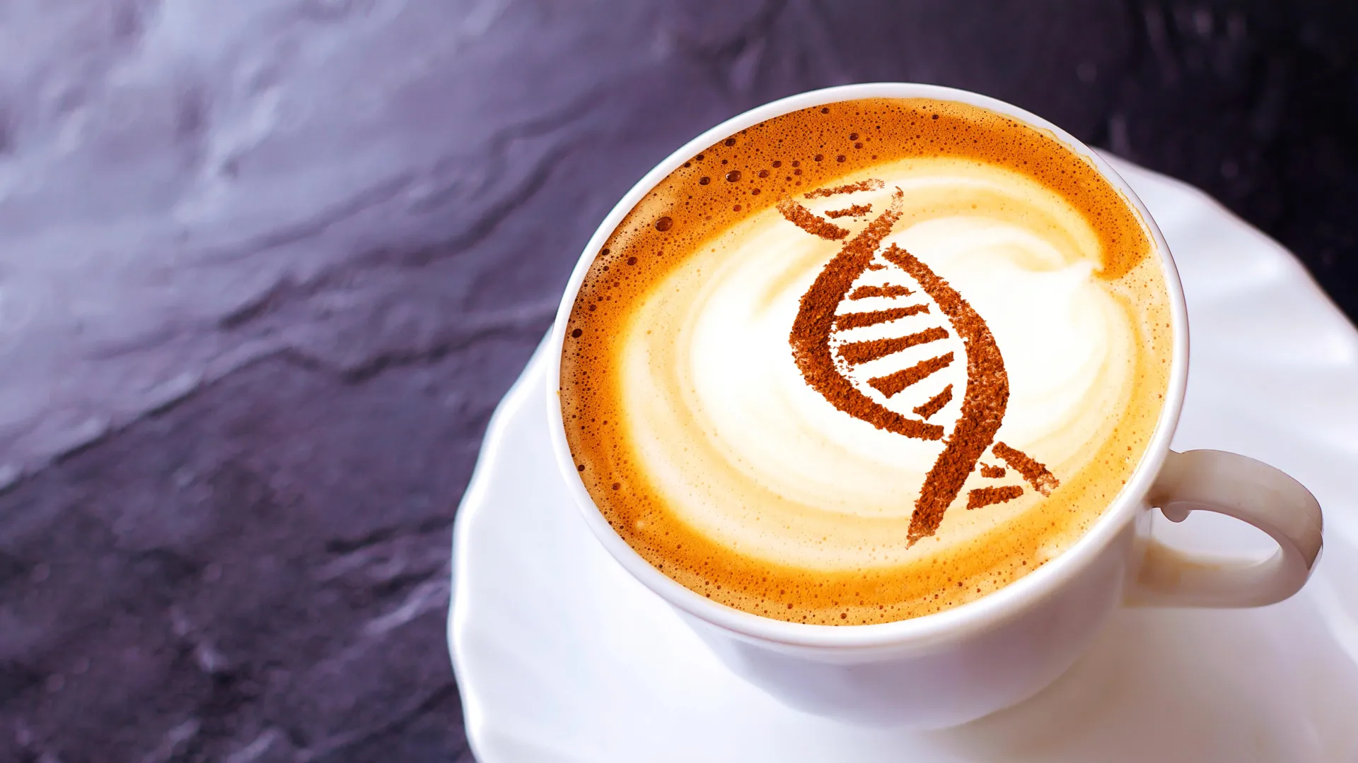 Koffein könnte ein zelluläres System aktivieren, das mit langsamerer Alterung in Verbindung steht