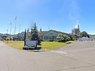 Chemical explosion reported at Nippon Dynawave Packaging Company in Washington state