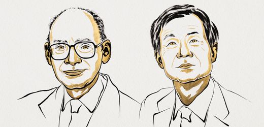 Chemie-Nobelpreis 2026 an Henri Kagan und Kenso Soai für Fortschritte in der asymmetrischen Synthese