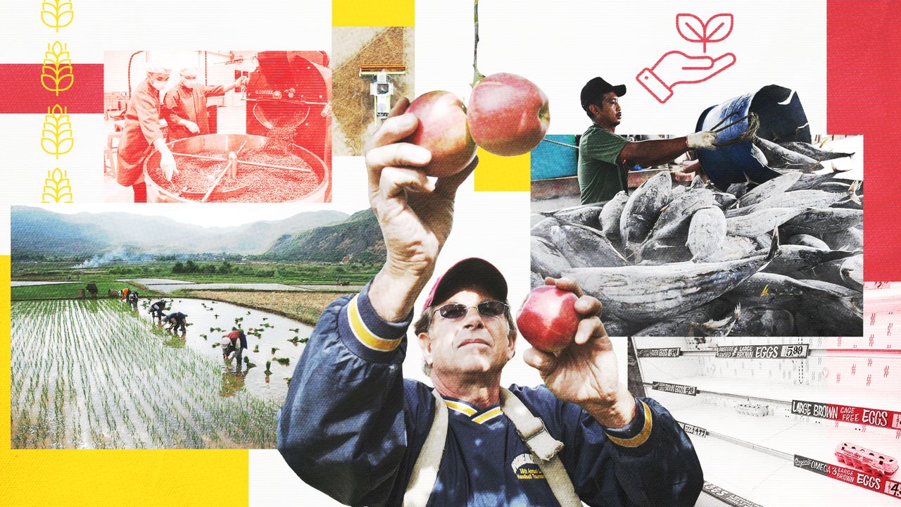 Climate Change Threatens Future Food Supply & Nutrition