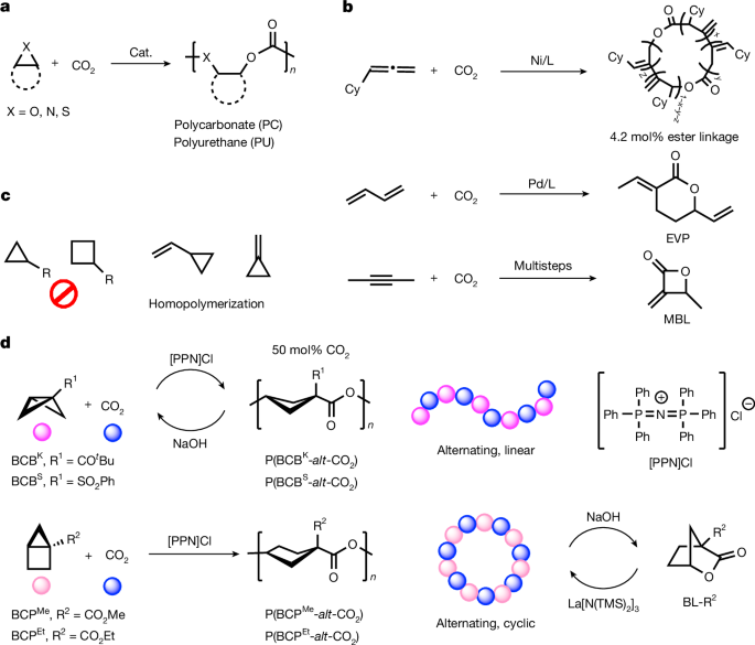 CO2- und Bicycloalkan-Copolymerisation erzeugt recycelbare Polyester