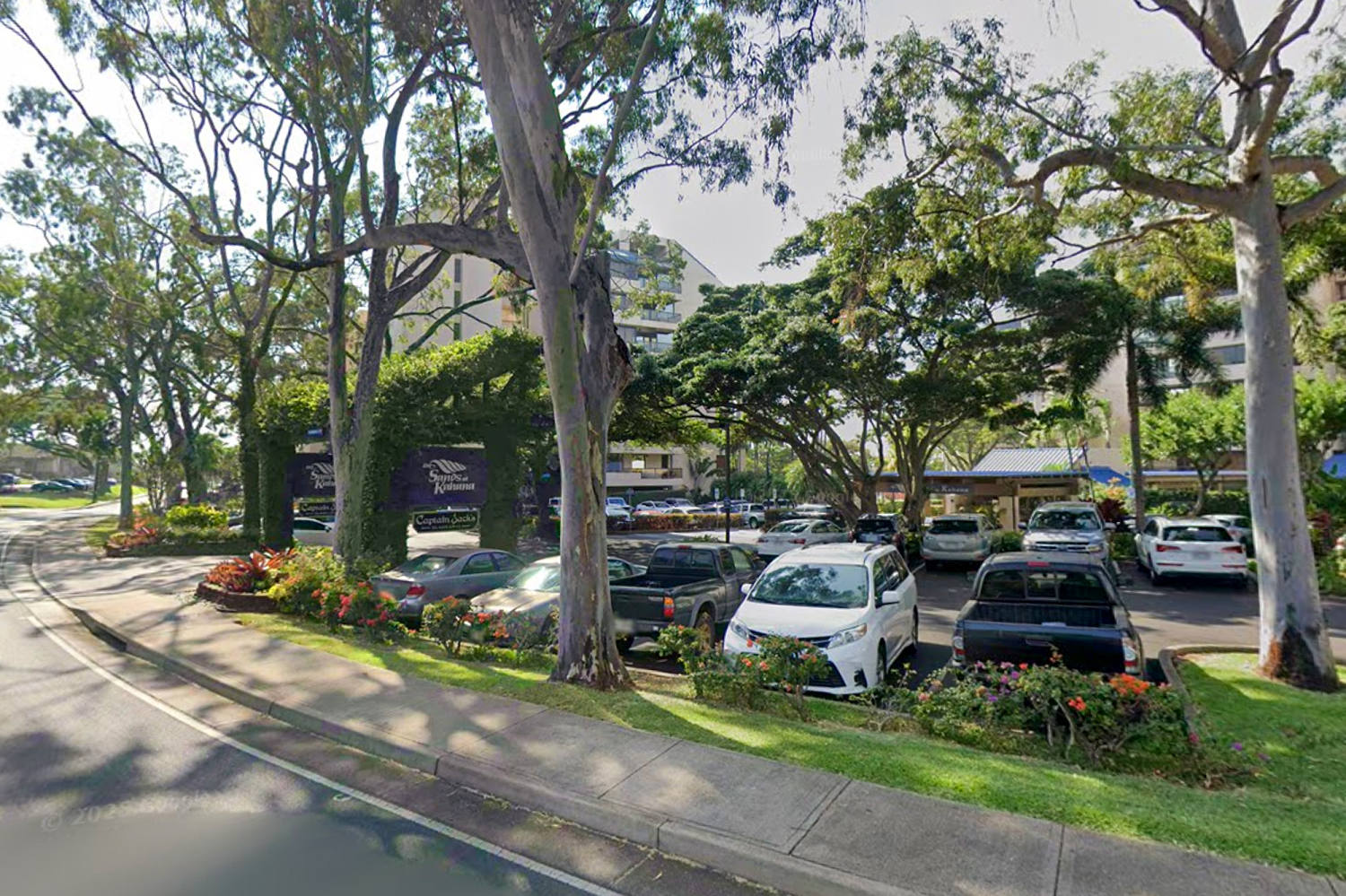 College-Schwimmer nach Tod eines Sicherheitsbeamten in Maui verhaftet