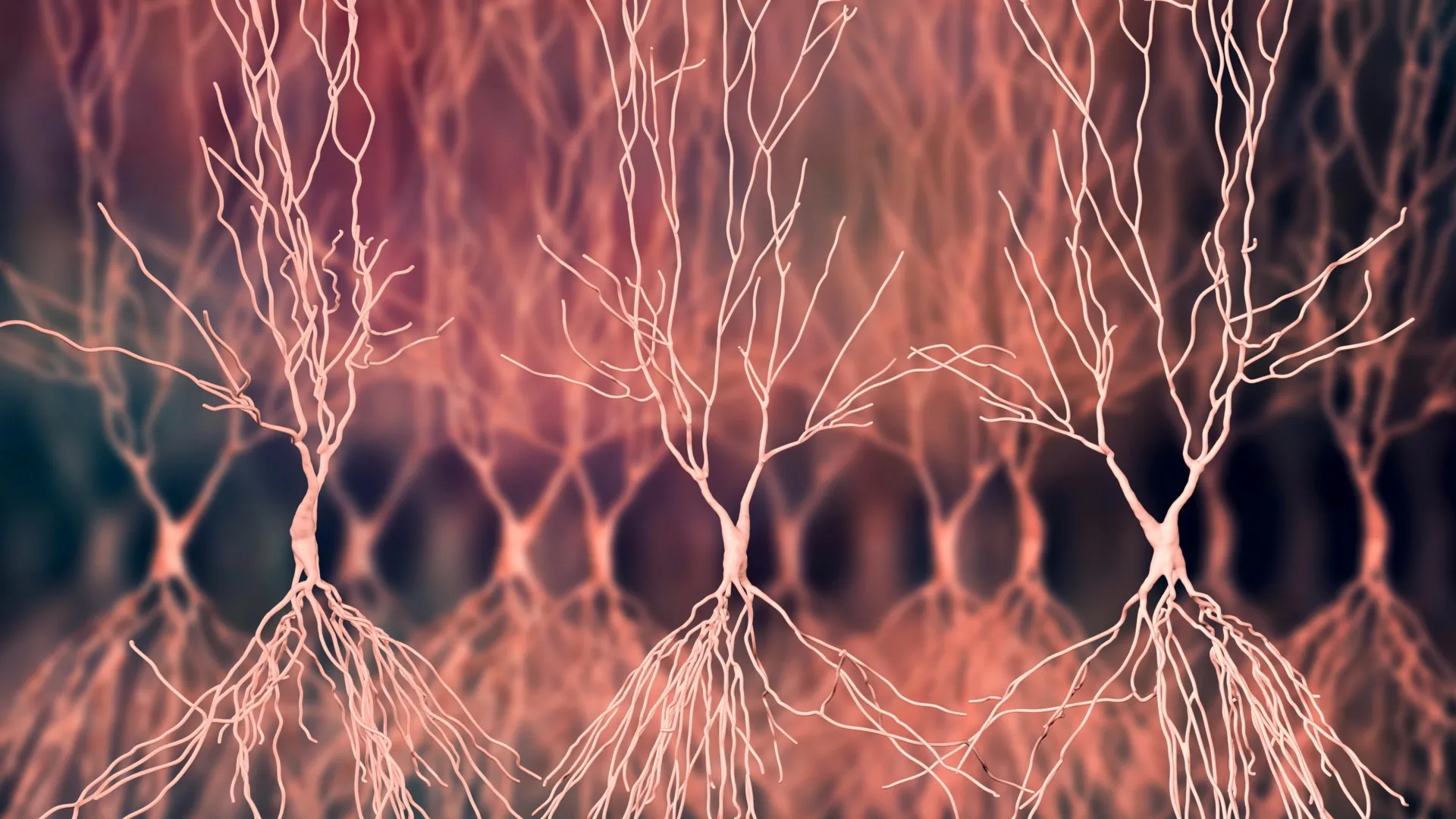 Compounds May Unlock Alzheimer’s Disease Mechanisms