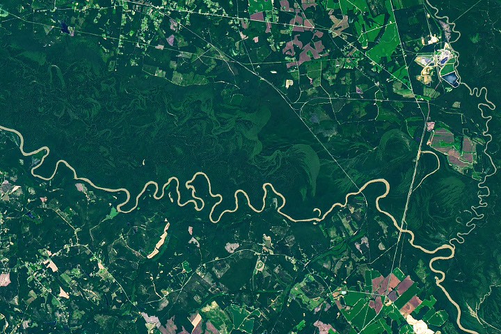 Congaree National Park Shaped by Congaree River Floodplain
