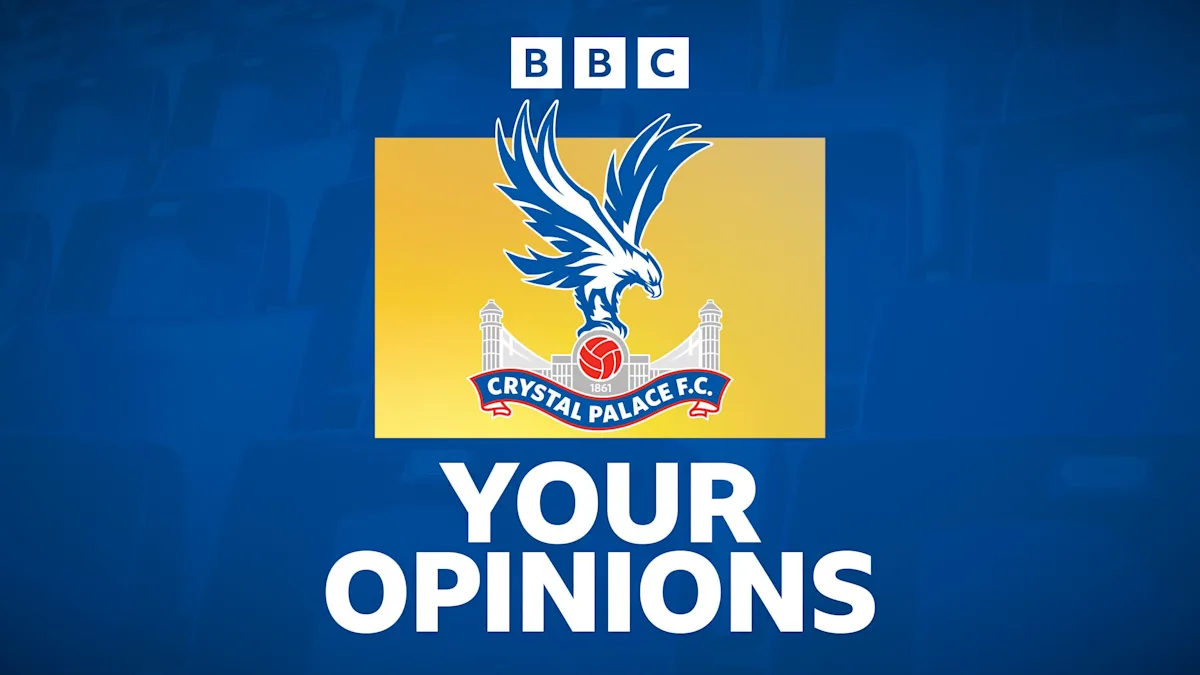 Crystal Palace Fans Suggest Transfer Targets from Relegated Teams