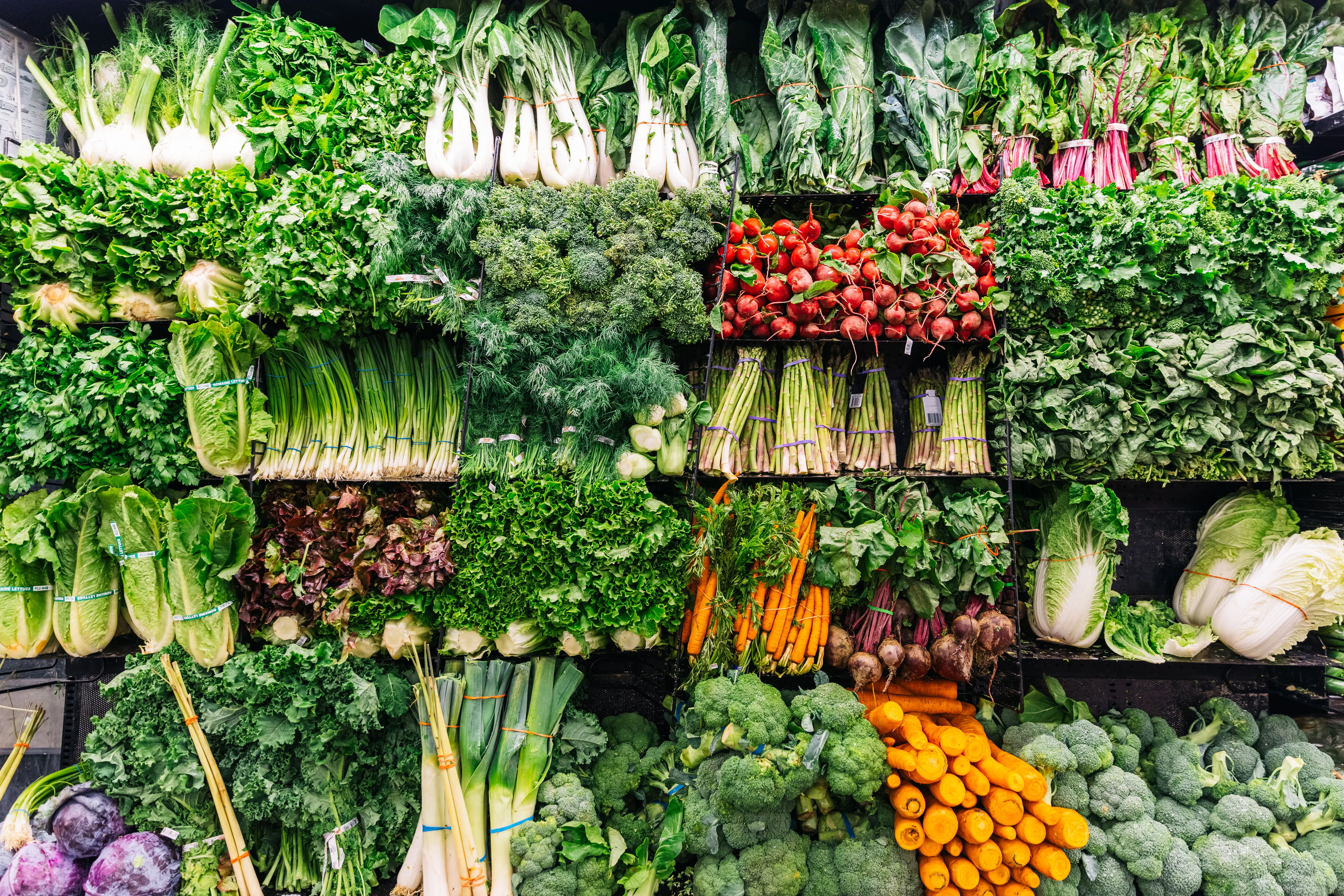 Cyclospora Cases Surge After Government Halts Tracking