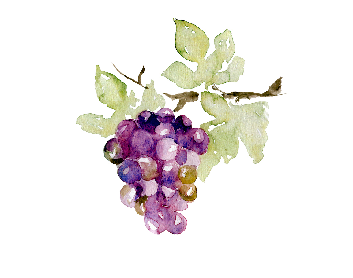 db Autumn Tasting 2026 приема заявки за участие