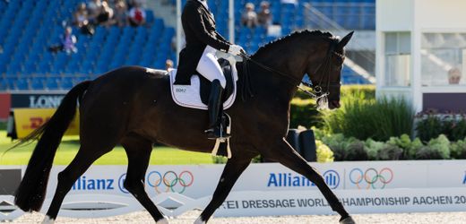 Deutsches Dressur-Team gewinnt WM-Gold in Aachen