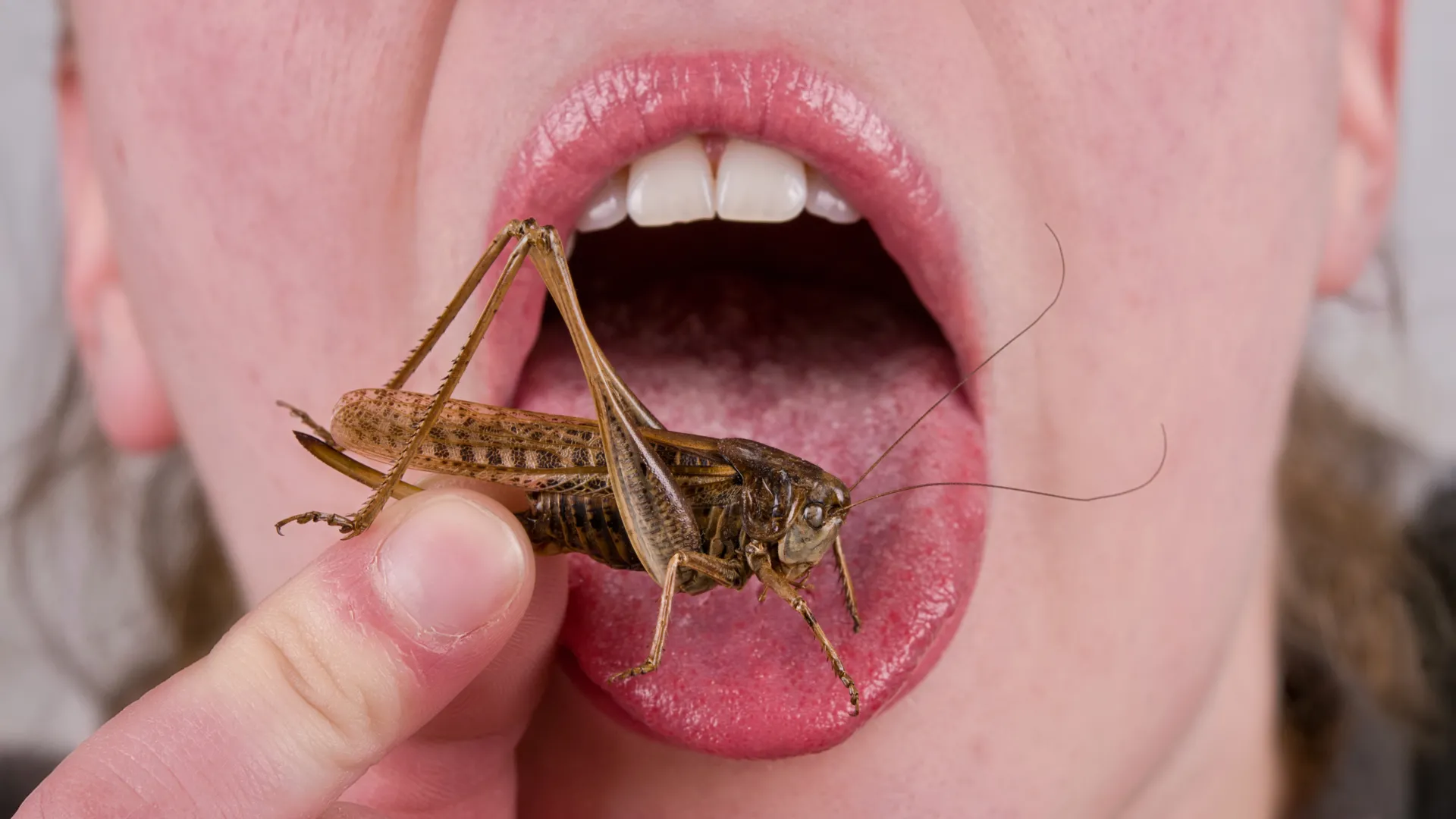 Abneigung gegen das Essen von Insekten könnte bis vor 9.000 Jahren zurückreichen