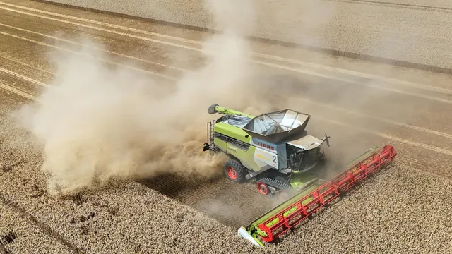 Dürre bedroht Getreideernte in Deutschland – Landwirte fordern Unterstützung
