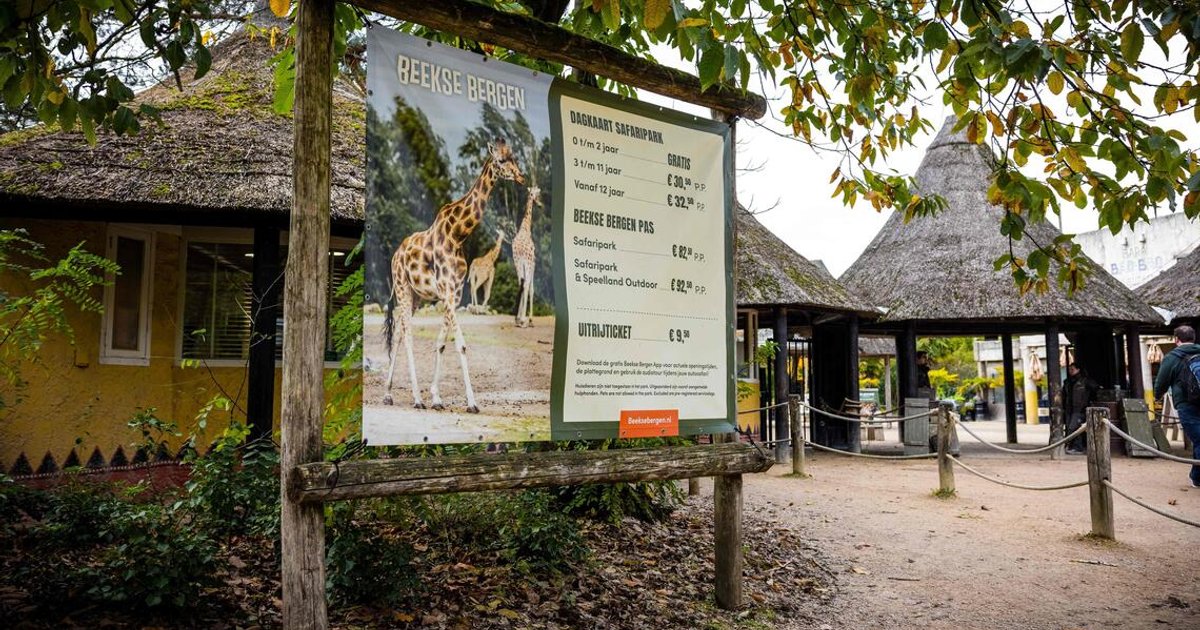 Dutch Zookeeper Dies After Leopard Attack at Beekse Bergen Safari Park