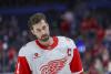 Dylan Larkin's Trade Request Raises Questions About NHL Structure